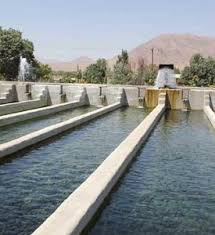 طرح توجیهی پرورش ماهی